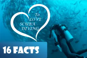 What is Scuba Diving Facts You Should Know ?16 Facts