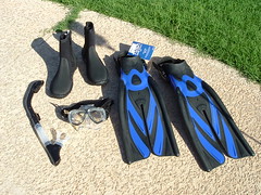 How Deep Can a Beginner Scuba Dive? 7 Tips Keep You Safely - https://bestscubapro.com

2.Check your equipment scuba diving gear tips