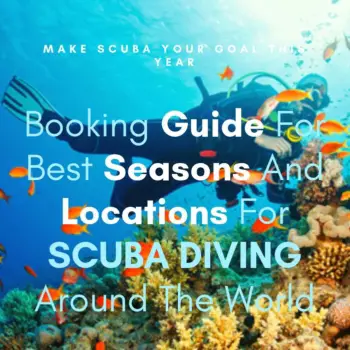 Booking Guide: Best Seasons & Locations For Dive Around The World