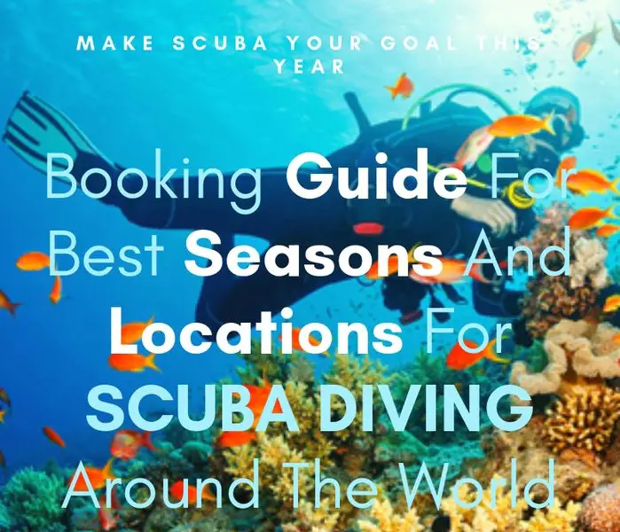 Booking Guide For Best Seasons And Locations For SCUBA DIVING Around ...