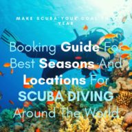 Booking Guide For Best Seasons And Locations For SCUBA DIVING Around The World