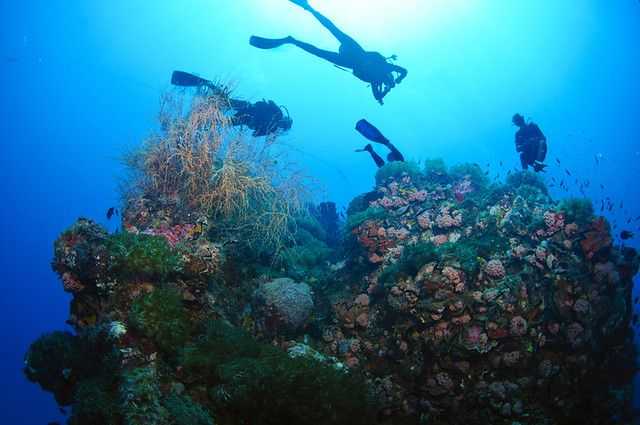 12 best Dives Spots You Should Explorer Before You Die - The Yongala
www.bestscubapro.com