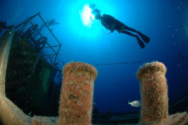 12 best Dives Spots You Should Explorer Before You Die -Bodrum
www.bestscubapro.com