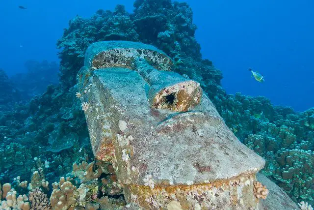 12 best Dives Spots You Should Explorer Before You Die - Easter island
www.bestscubapro.com