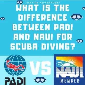 What Is The Difference Between Naui vs Padi For Scuba Diving?