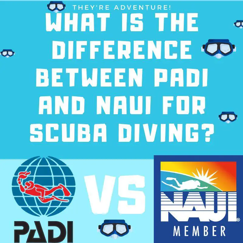 WHAT IS THE DIFFERENCE BETWEEN PADI AND NAUI FOR SCUBA DIVING?