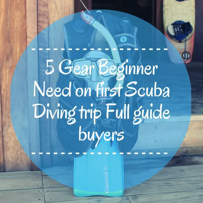 5 Gear Beginner Need on first Scuba Diving trip Full guide buyers