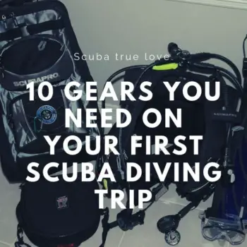 10 First Scuba Gears You Need On Your Scuba Diving Trip