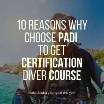 10 Reasons To Get PADI Certification Diver Course