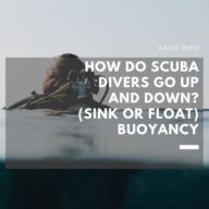 How do scuba divers go up and down? (sink or float) Buoyancy