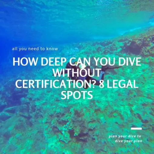 Where Can You Dive Without Certification? 8 legal spots