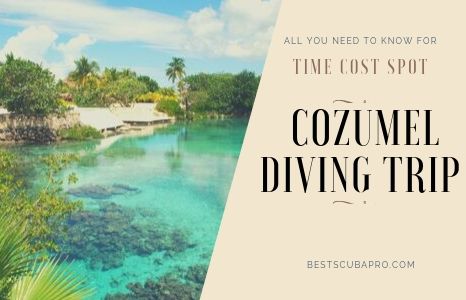 All you need to know for Cozumel Diving Trip Time Cost Spot