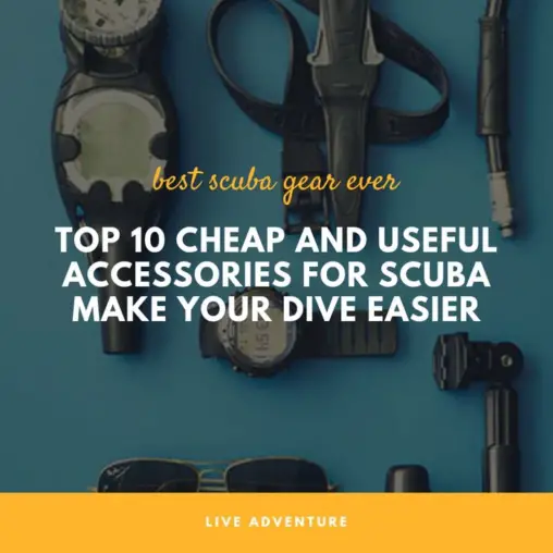 Top 10 Best Scuba Diving Accesories Make Your Dive Easier