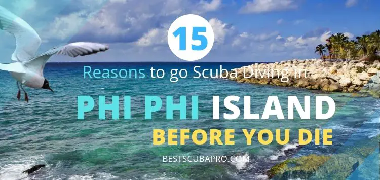 Top 15 Reasons To Go Scuba Diving In Phi Phi Island
