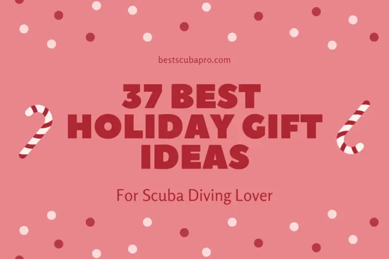 37 Best Holiday Gift Ideas For Scuba Diving Lover | Best Scuba Pro