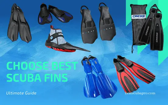 Ultimate Guide on How to Choose Scuba Fins (Diver Guide 2024)