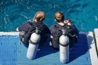 diving tips for beginners,scuba diving tips for beginners,scuba diving beginners guide,scuba diving tips,scuba diving beginner tips