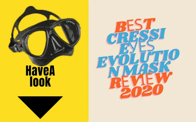 Bеѕt Cressi Eуеѕ Evolution Mask Rеvіеw 2020