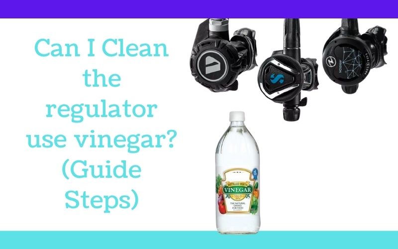 Can I Clean the regulator use vinegar? (Guide Steps)