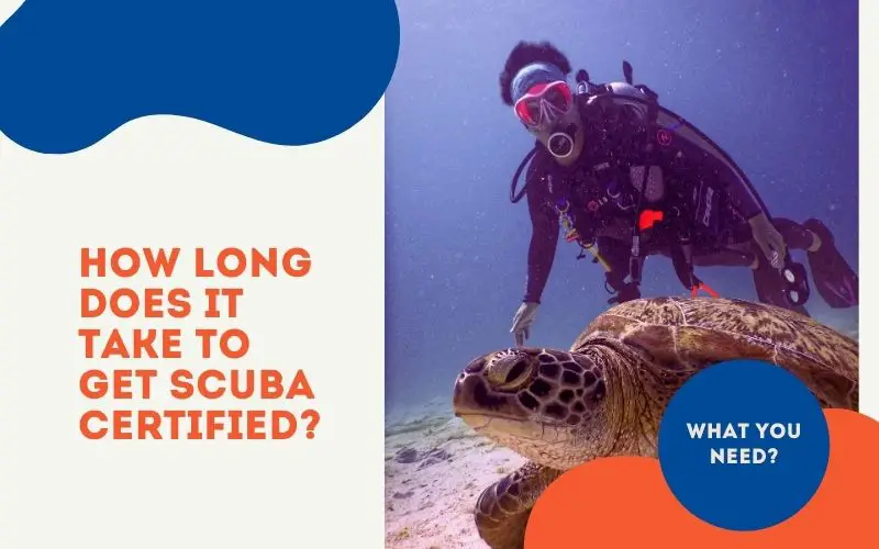 How long does it take to get scuba certified?