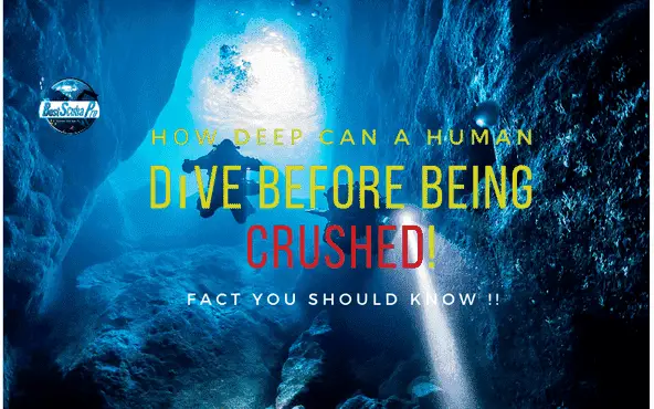 how deep can a human dive,how deep can a human dive before being crushed,how deep can a human dive with gear,how deep can you scuba dive without dying,how far can a human dive,how deep can you dive