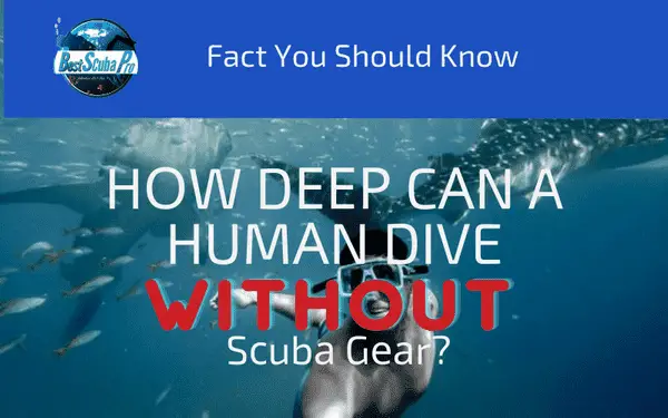 deepest free dive, free diving record, free dive record, deep diving, deepest dive ever, longest free dive,how deep can a human go underwater without equipment,ho deep can humans go,how deep can a human dive without scuba gear,deepest human dive without gear