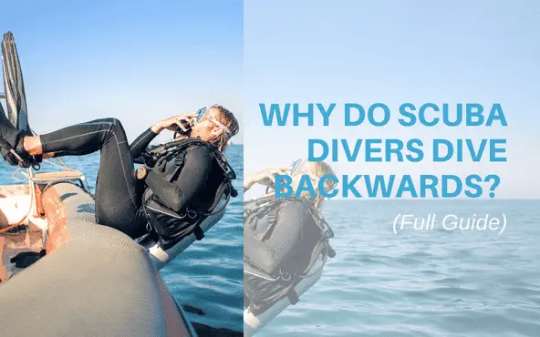 why do scuba divers dive backwards ,why do divers fall backwards ,why do divers dive backwards ,why do scuba divers fall backwards ,why do divers go in backwards,why do divers fall backwards into the water