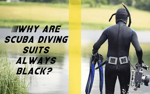 Why are scuba diving suits always black? What a safe purpose?