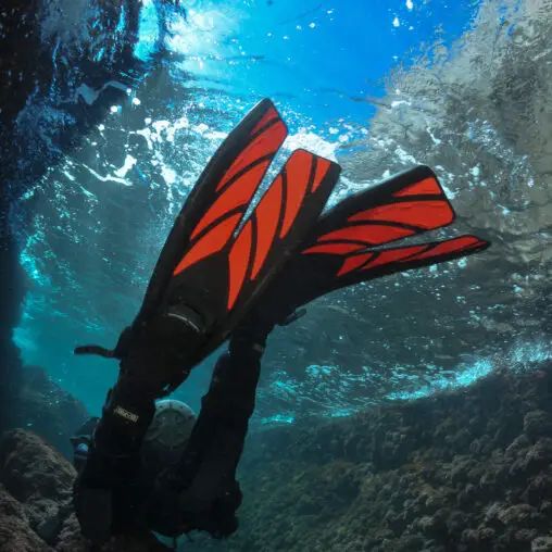 Comparing Paddle Fins and Split Fins for Snorkeling