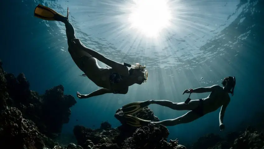 Snorkeling, Skin Diving, and Freediving – Which Suits You Best?