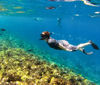 Is Snorkeling a Frightening Activity? Tips for an Enjoyable First-Time Experience
