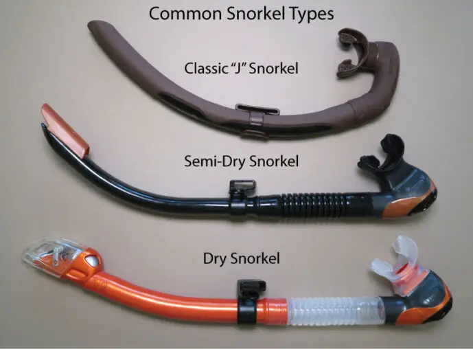 Understanding How Snorkels Function