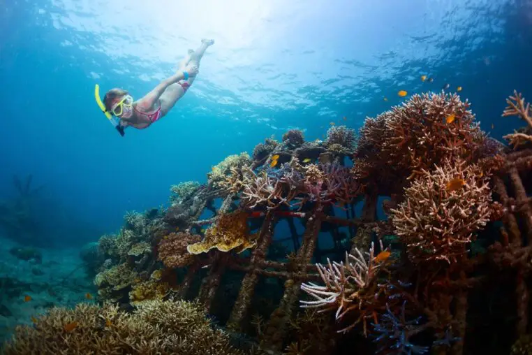 Choosing Your Snorkeling Depths: Shallow vs. Deep