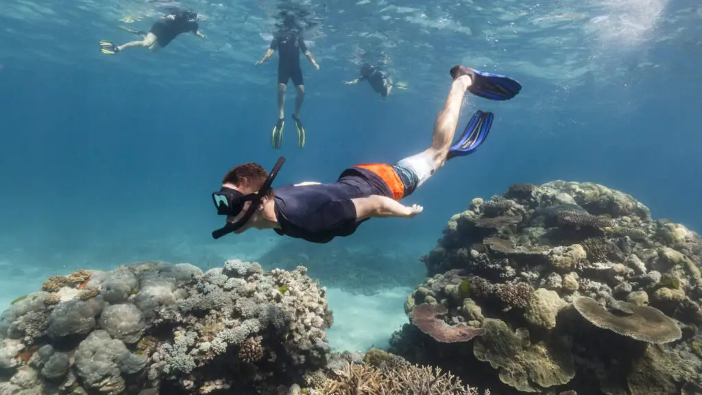 A Beginner’s Guide to Choosing What to Wear on a Snorkeling Expedition