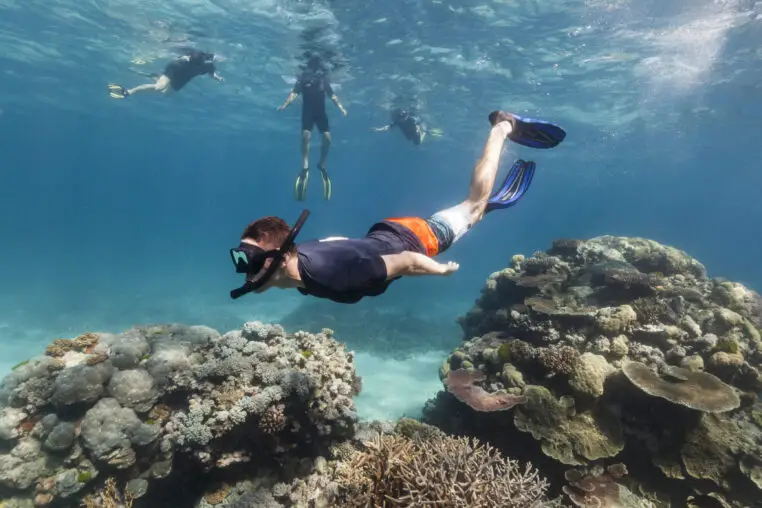The Impact of Snorkeling on Coral Reefs