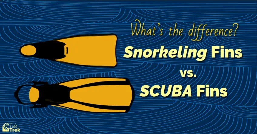 Snorkeling Fins vs. SCUBA Diving Fins: Choosing the Right Fins