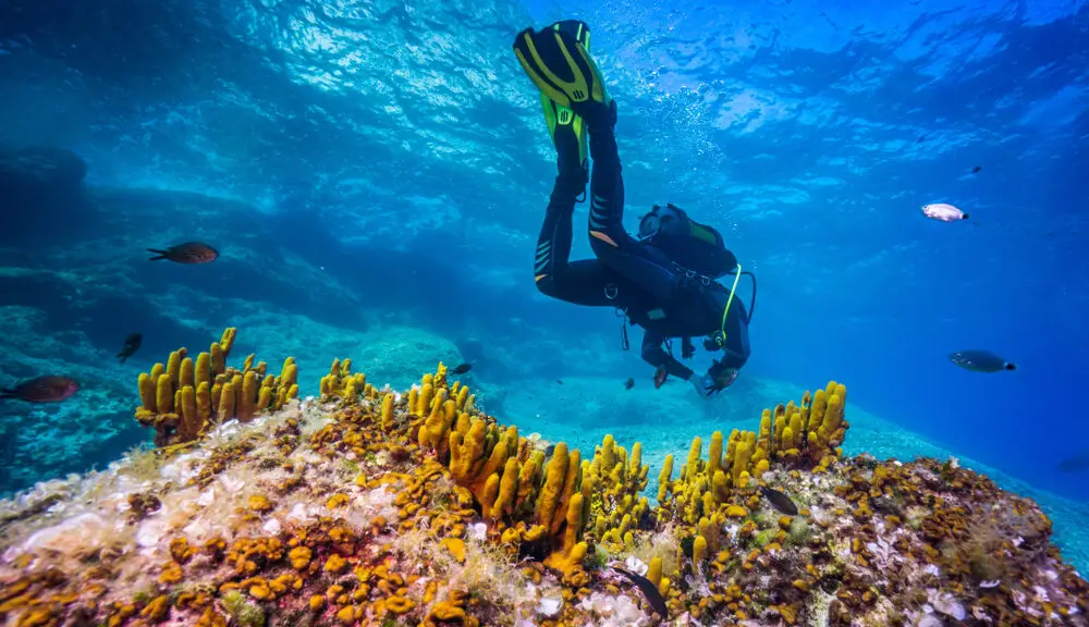 What is the Maximum Depth for Underwater Snorkeling?