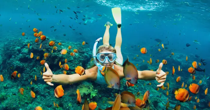 Snorkeling Adventures and the Temptation to Feed Fish