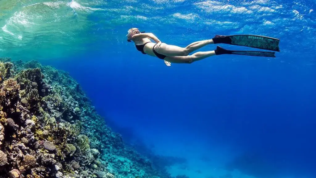 freediving fins for snorkeling