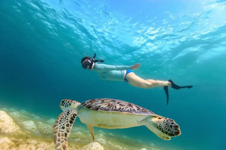 The Ultimate Guide to Snorkeling with Magnificent Sea Turtles in their Natural Habitat