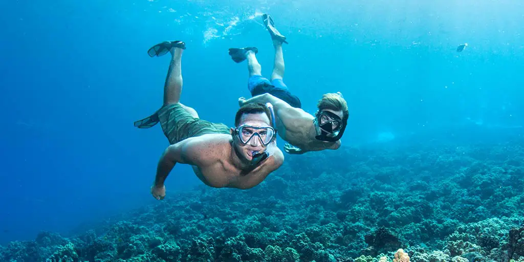 Mastering the Art of Snorkeling: 15 Expert Tips for Every Adventurer