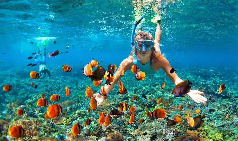 The Fascinating World of Snorkeling: A Comprehensive Beginner's Guide