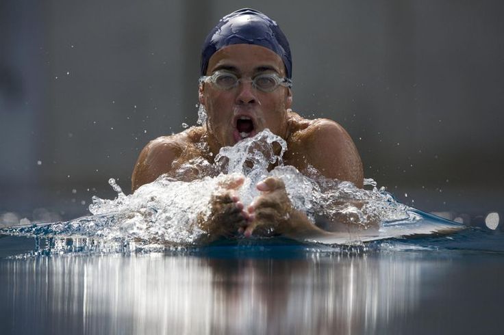 Breaststroke: Muscles in Action