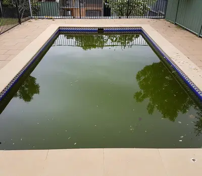 Is It Safe to Swim in an Algae Infested Pool?
